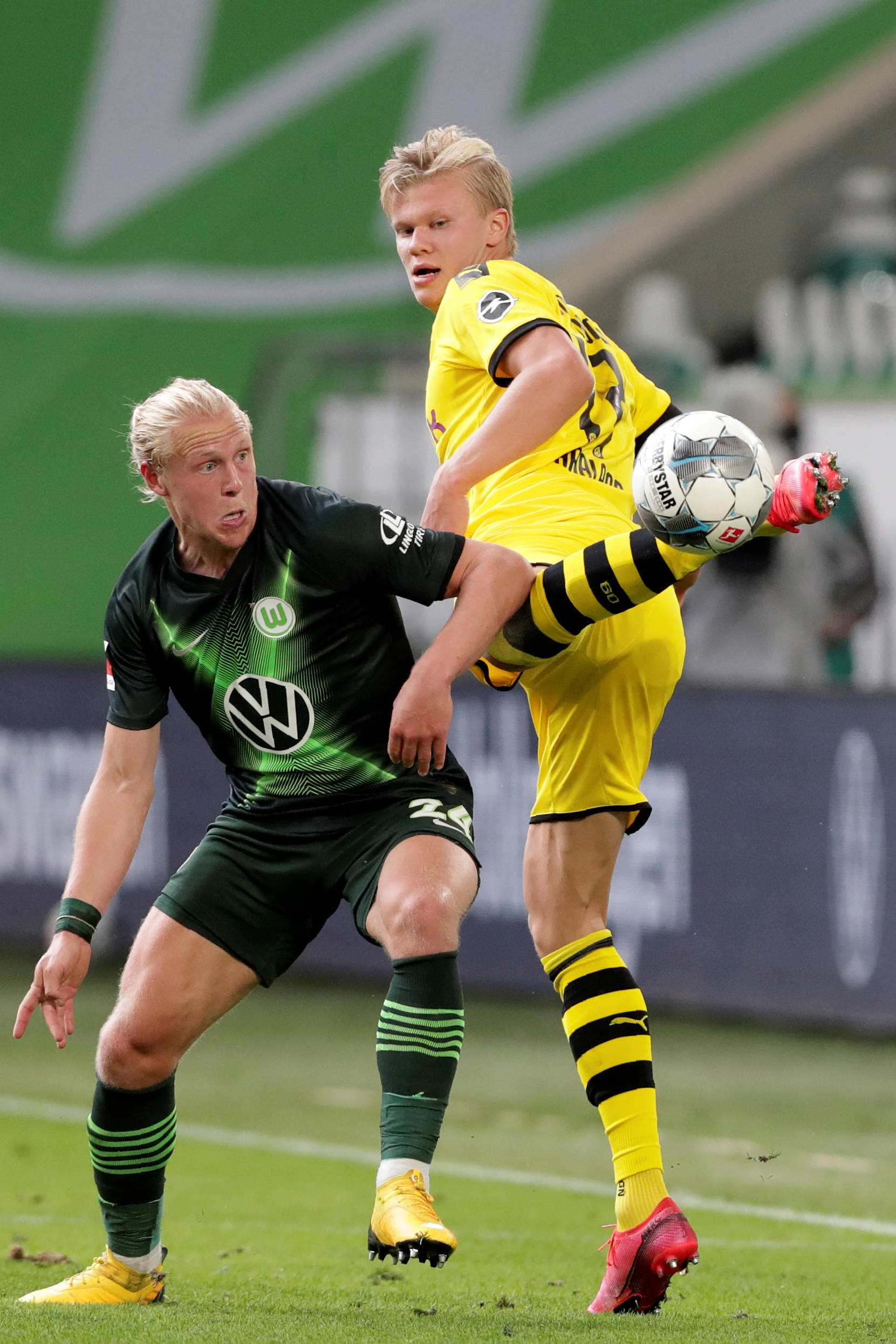 们不可忽视 们不可忽视